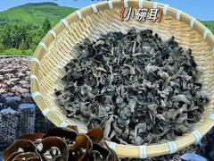 山珍干货区域代理招商
