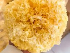 中华老字号食品特产博览会